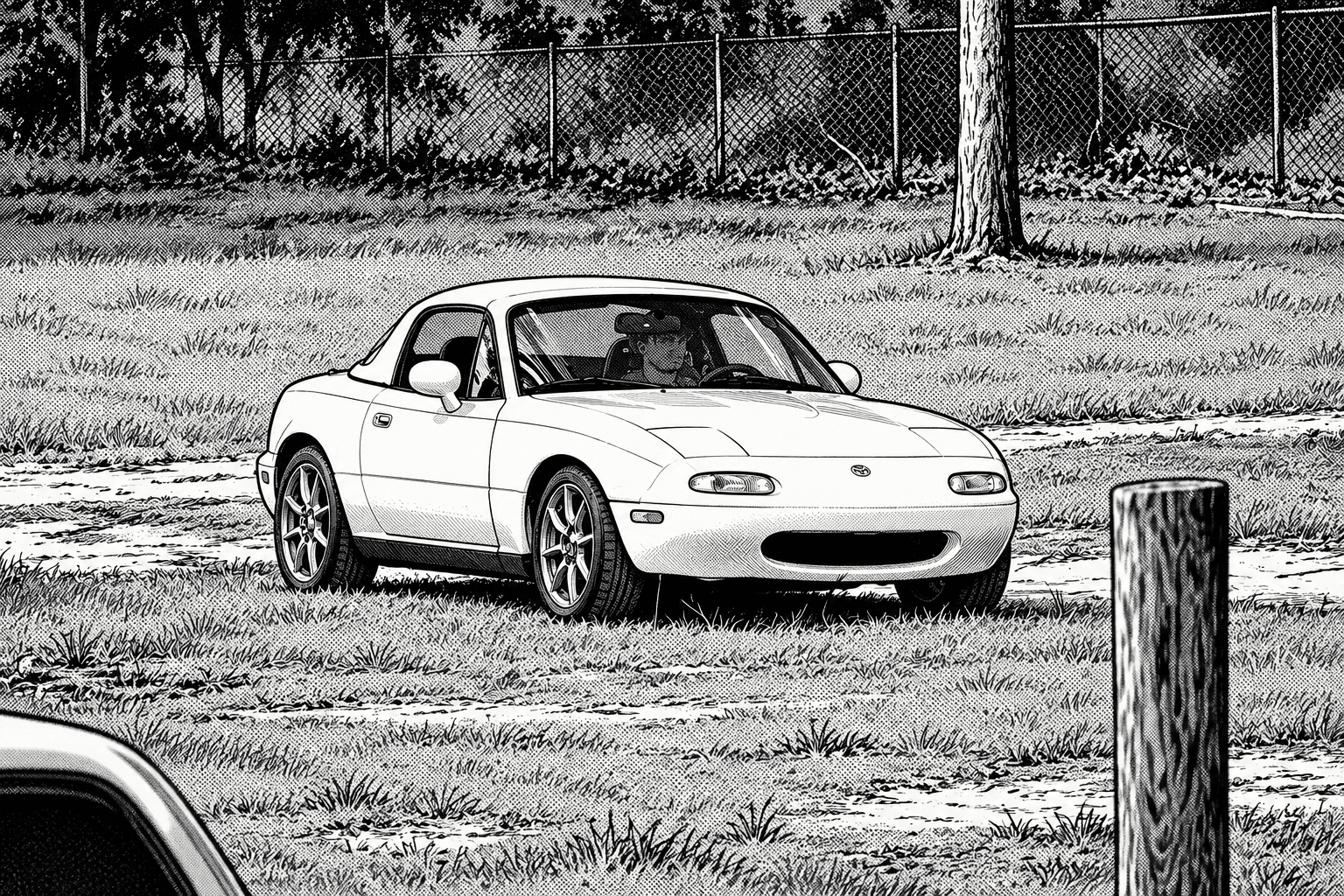 A Miata parked on a grassy area